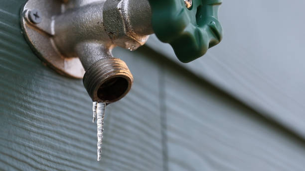 Best Residential Plumbing Services  in North River Shores, FL